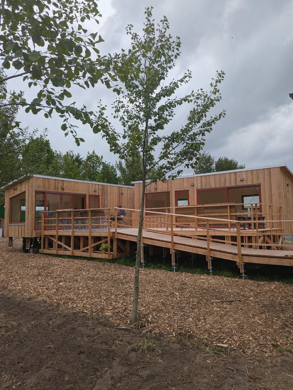 Zwei LandAnker mit umlaufender Terrasse und Rampe, davor ein frisch gepflanzter Baum